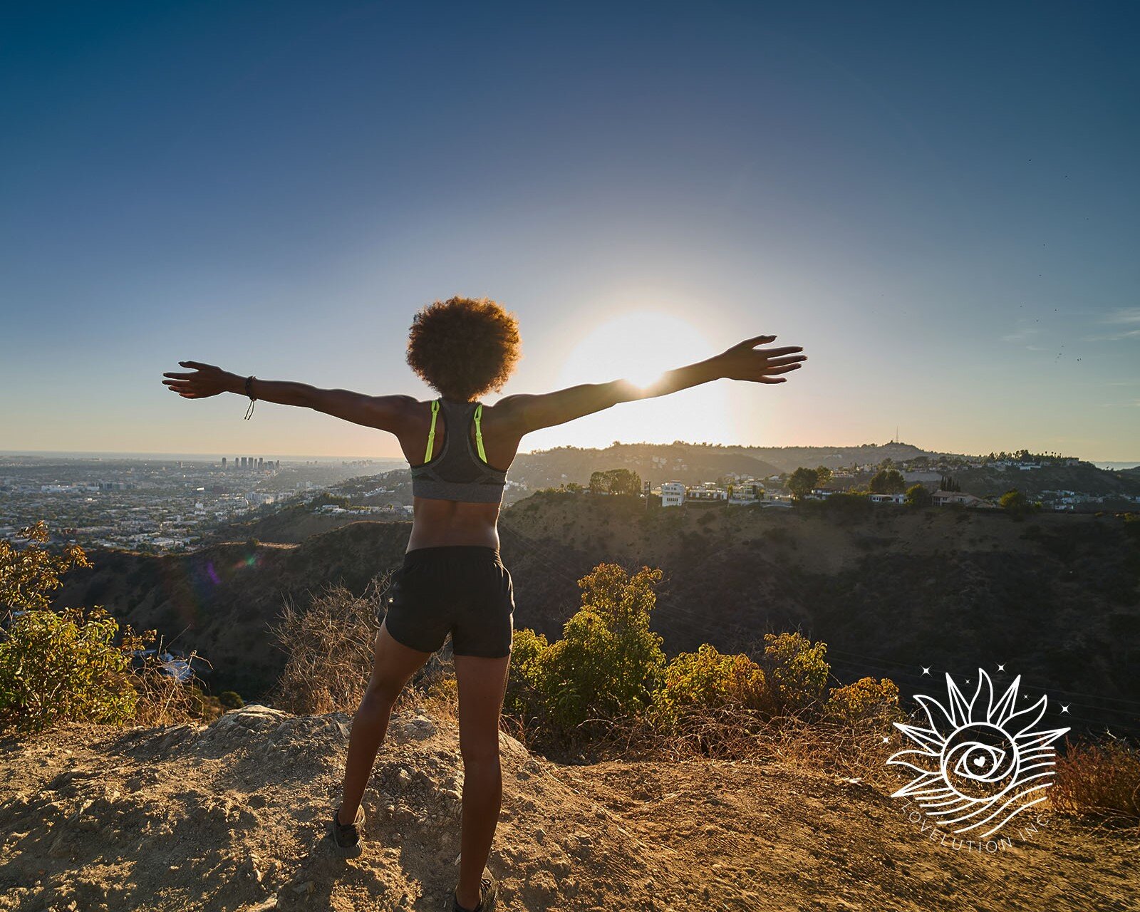 Lovelution Inc Brand Identity