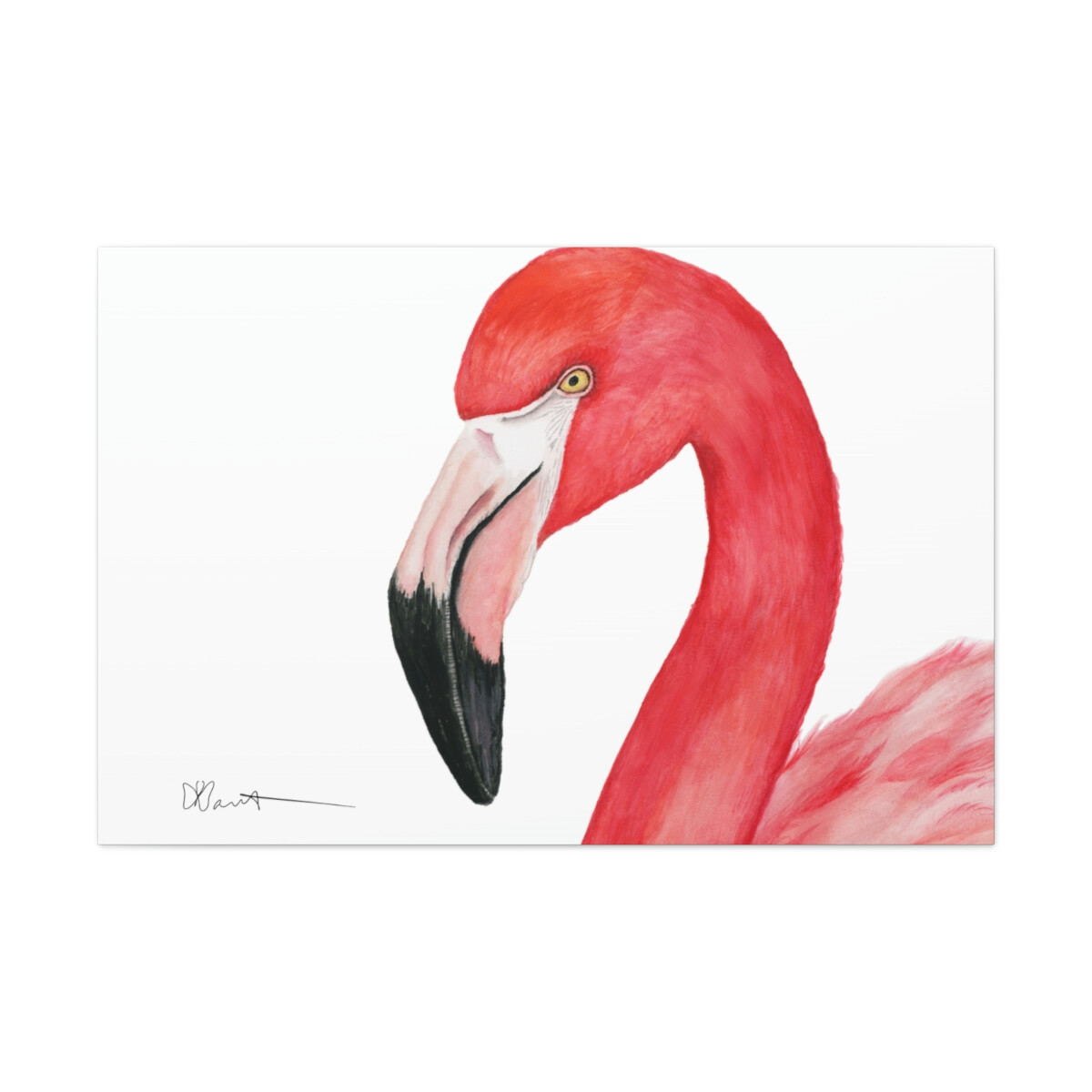 Sam the Flamingo - Canvas Gallery Wrap - Image 2