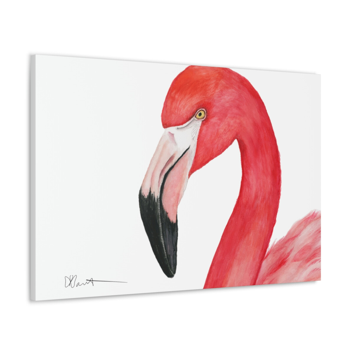 Sam the Flamingo - Canvas Gallery Wrap - Image 9