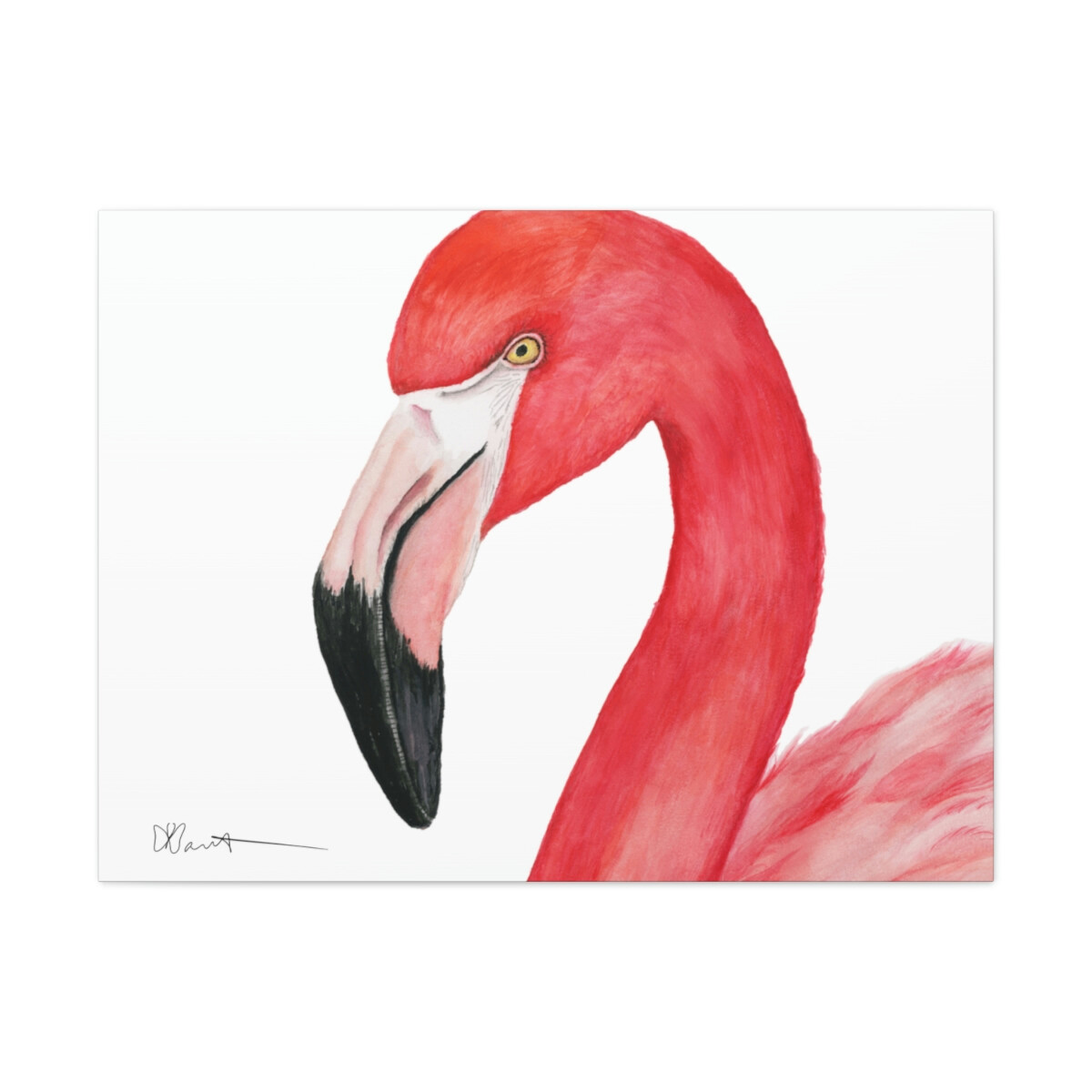 Sam the Flamingo - Canvas Gallery Wrap - Image 4