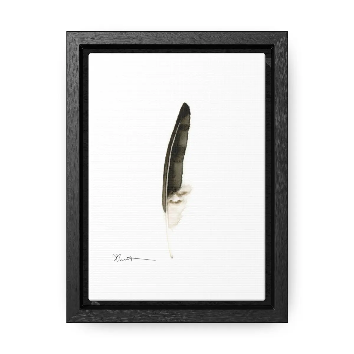Red-tailed Hawk Feather - Gallery Canvas Wraps with Floater Frame - Image 2