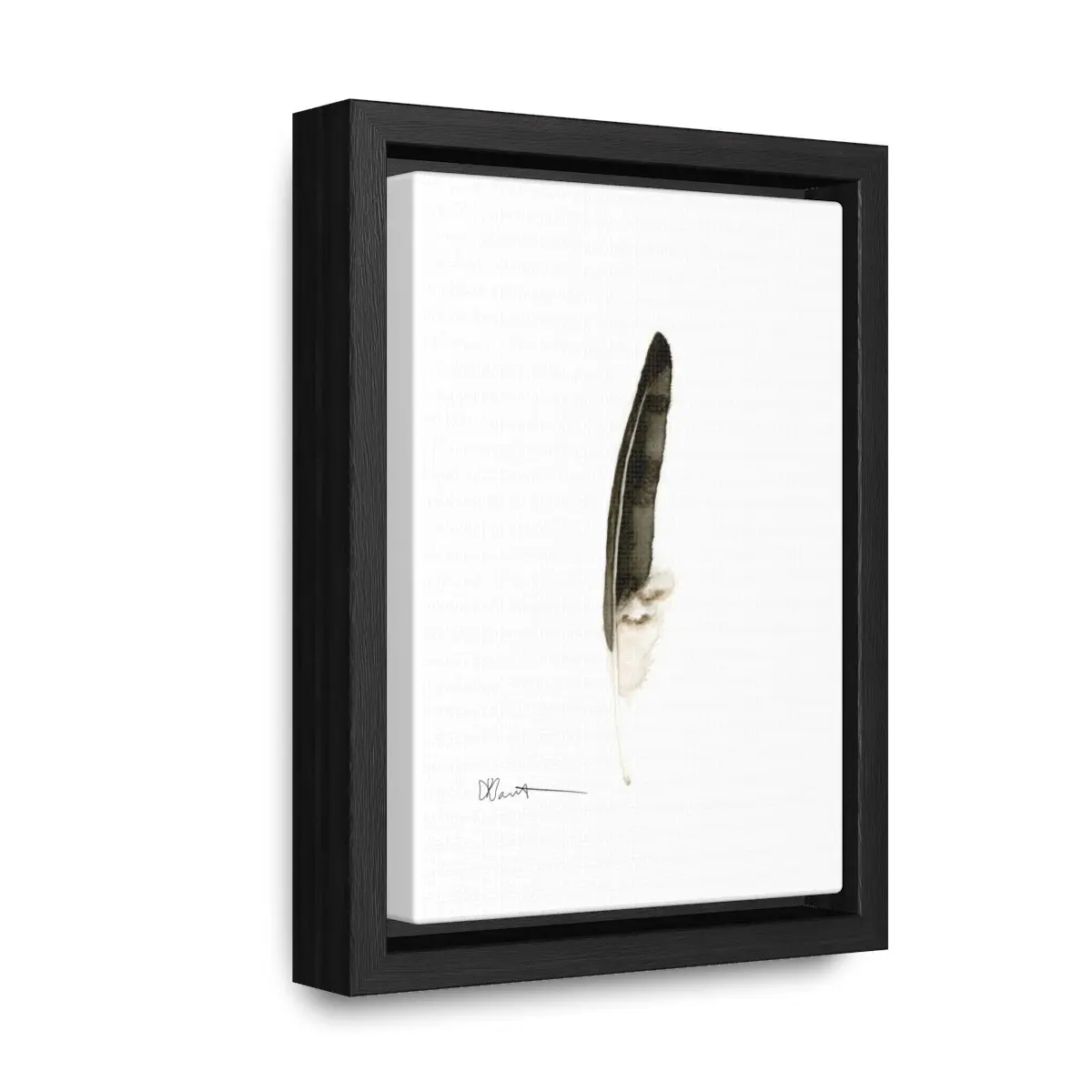Red-tailed Hawk Feather - Gallery Canvas Wraps with Floater Frame