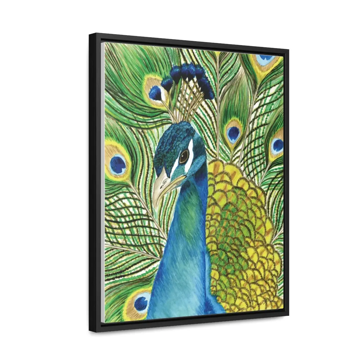 Andy the Peacock - Gallery Canvas Wrap with Floater Frame