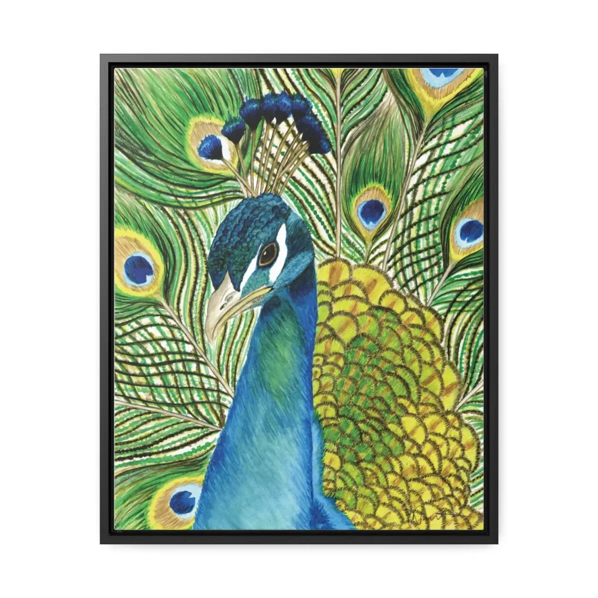 Andy the Peacock - Gallery Canvas Wrap with Floater Frame - Image 2