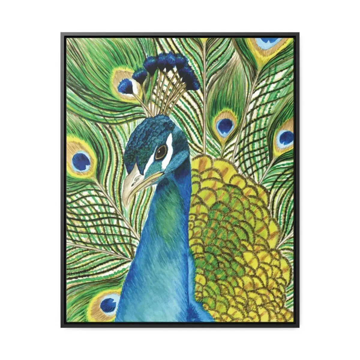 Andy the Peacock - Gallery Canvas Wrap with Floater Frame - Image 4