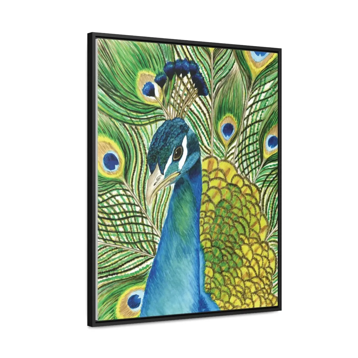 Andy the Peacock - Gallery Canvas Wrap with Floater Frame - Image 5