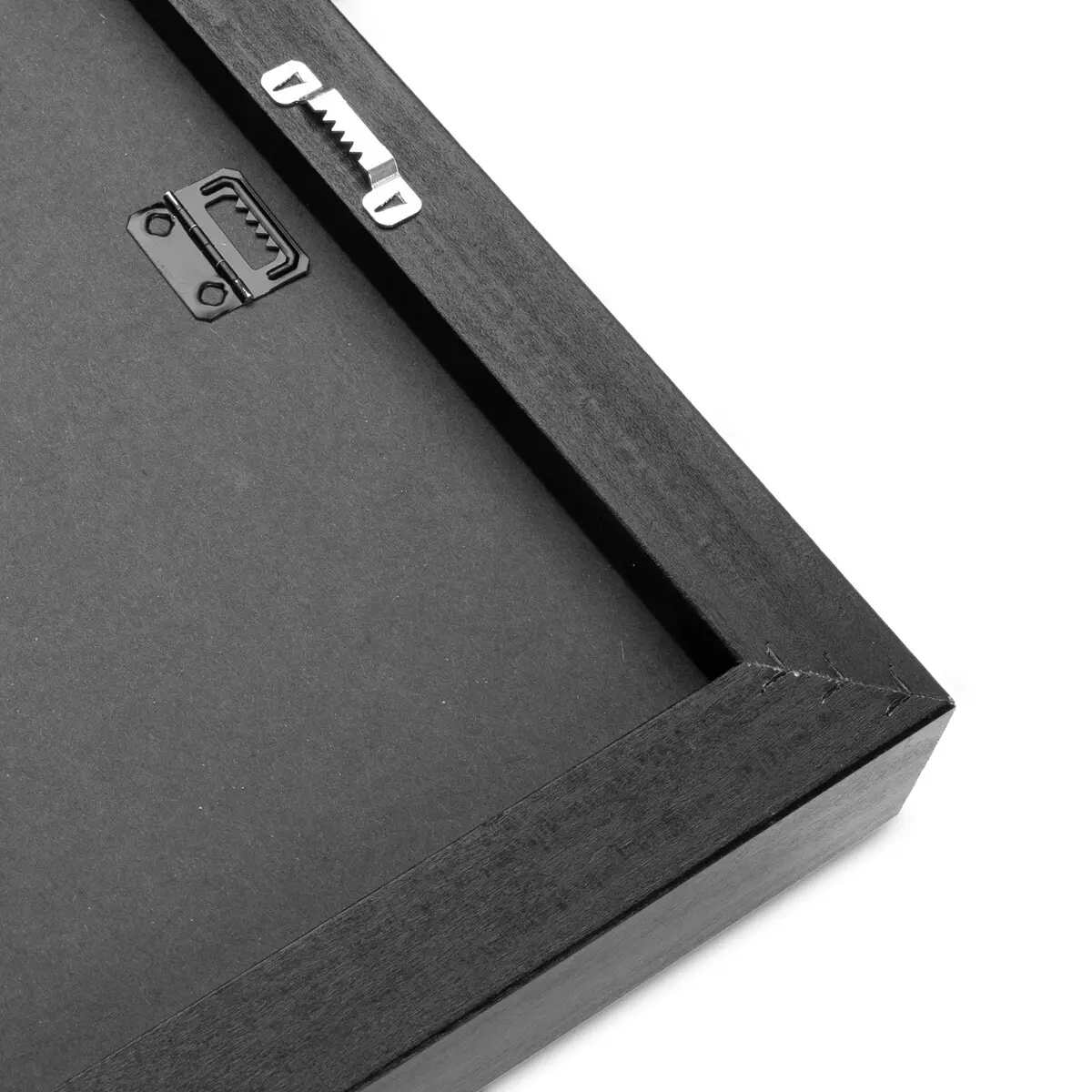 Andy the Peacock - Gallery Canvas Wrap with Floater Frame - Image 6