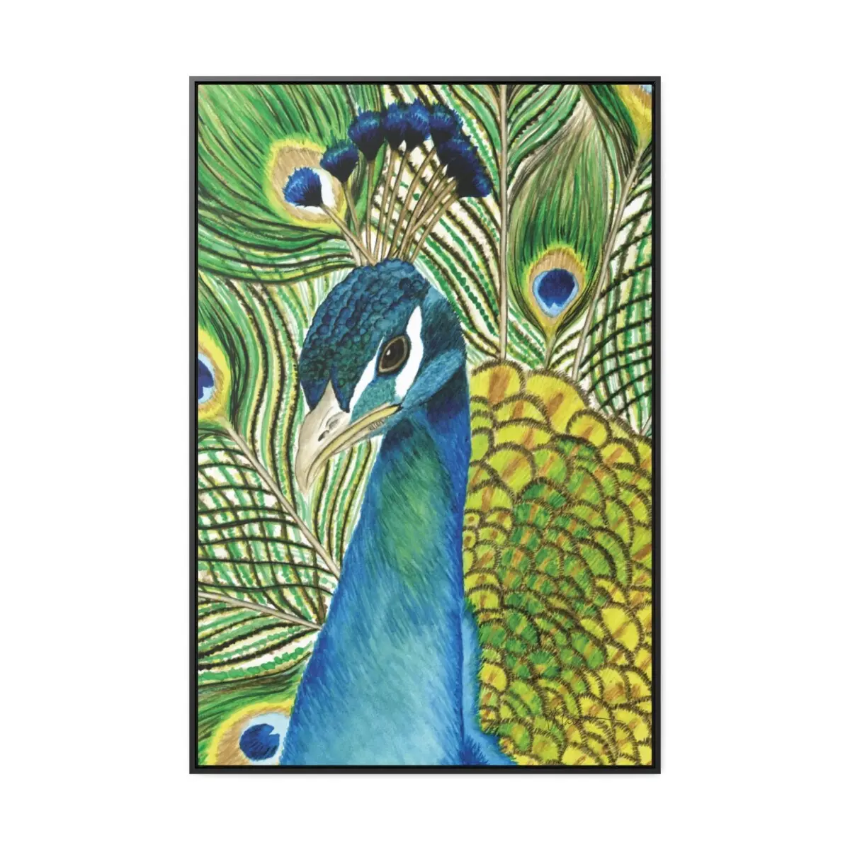 Andy the Peacock - Gallery Canvas Wrap with Floater Frame - Image 7