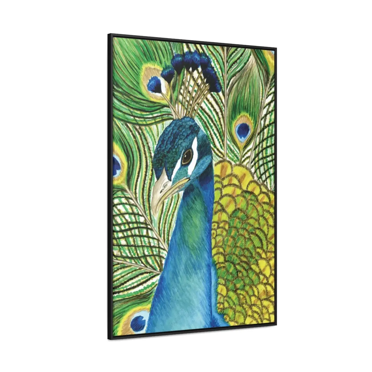 Andy the Peacock - Gallery Canvas Wrap with Floater Frame - Image 8