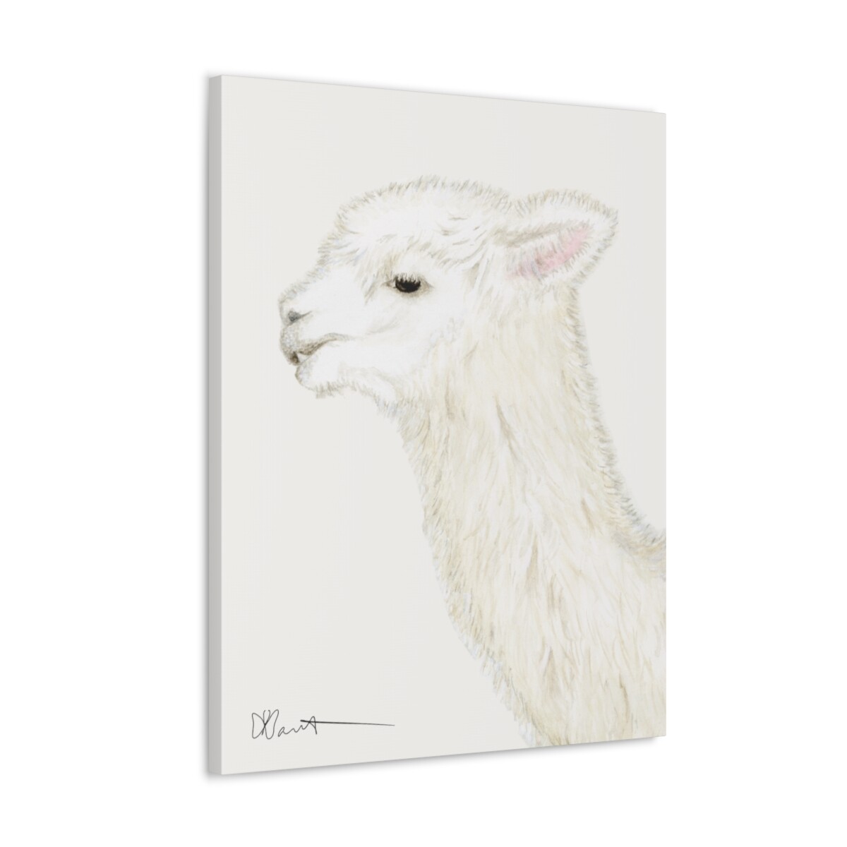 Tina the Alpaca - Canvas Gallery Wrap - Image 5