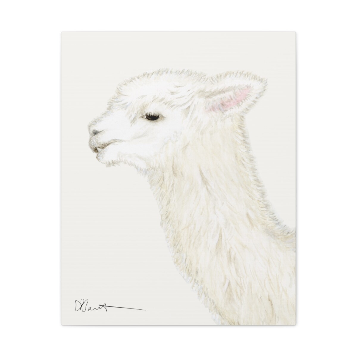 Tina the Alpaca - Canvas Gallery Wrap - Image 4