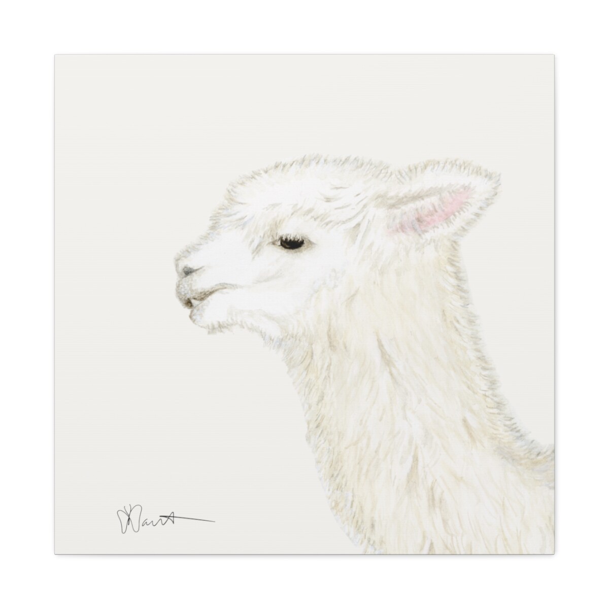Tina the Alpaca - Canvas Gallery Wrap - Image 6