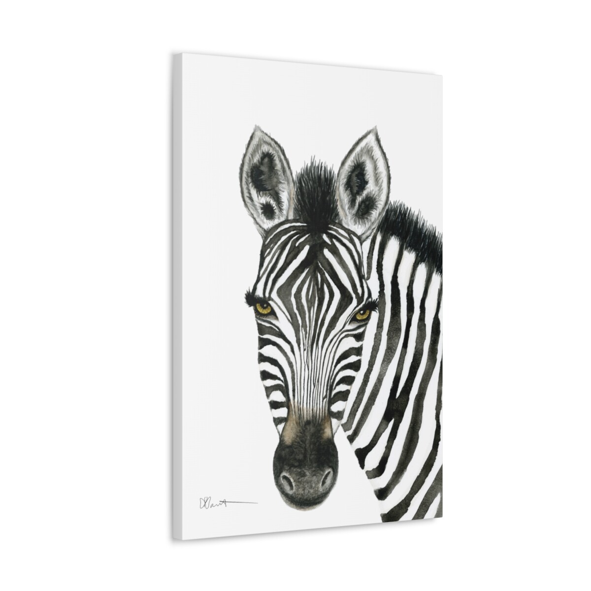 Zuri the Zebra - Canvas Gallery Wrap