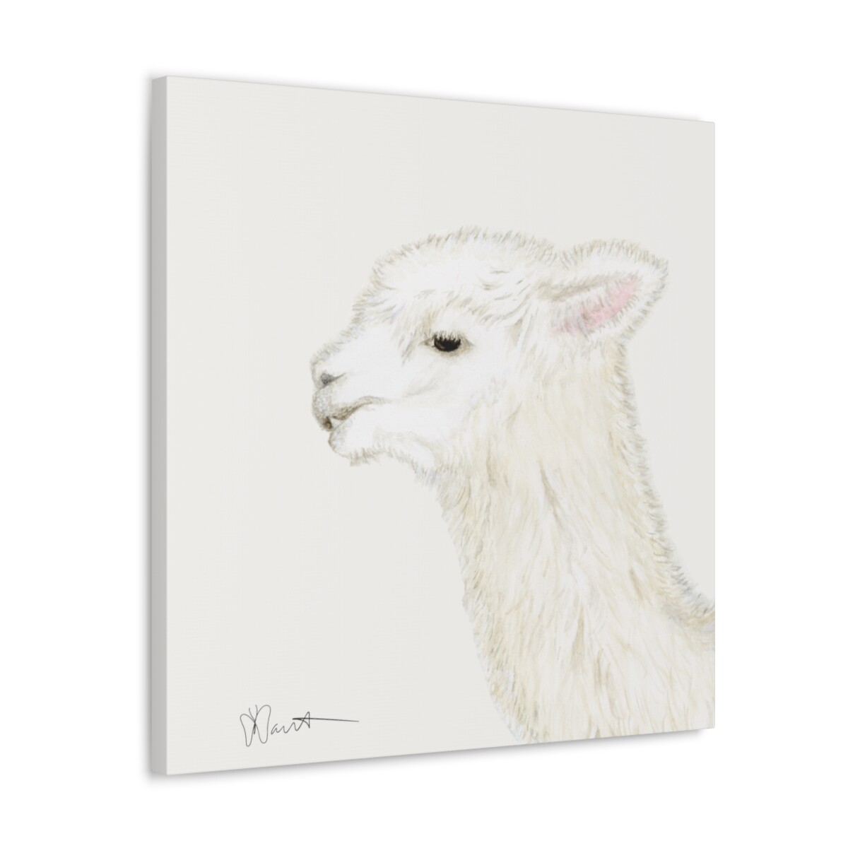 Tina the Alpaca - Canvas Gallery Wrap - Image 9