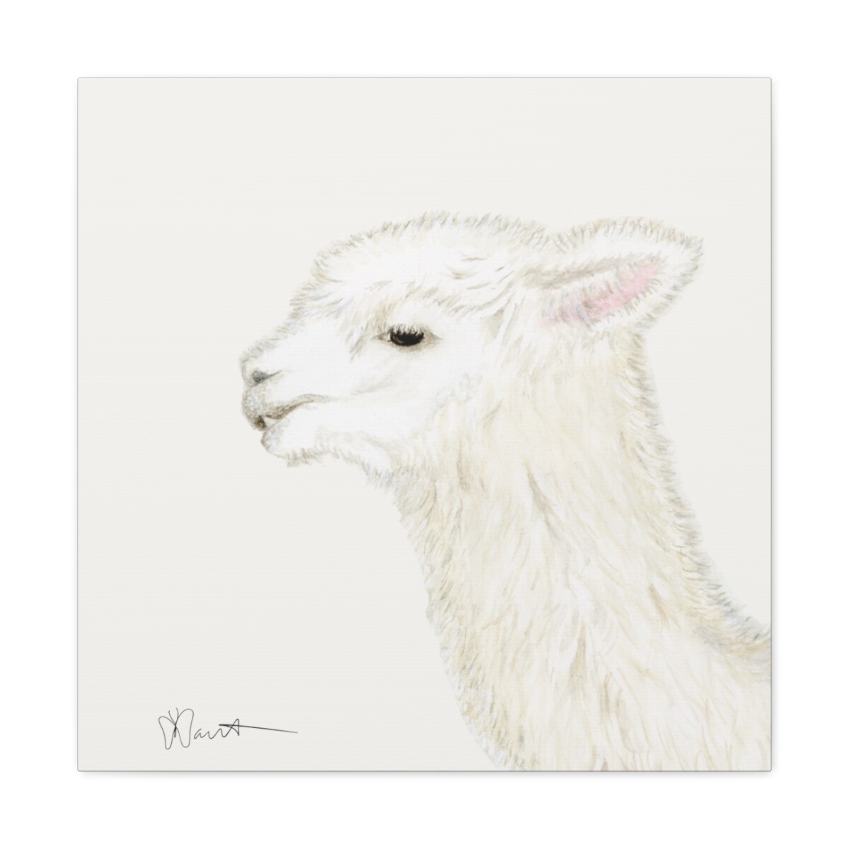 Tina the Alpaca - Canvas Gallery Wrap - Image 8