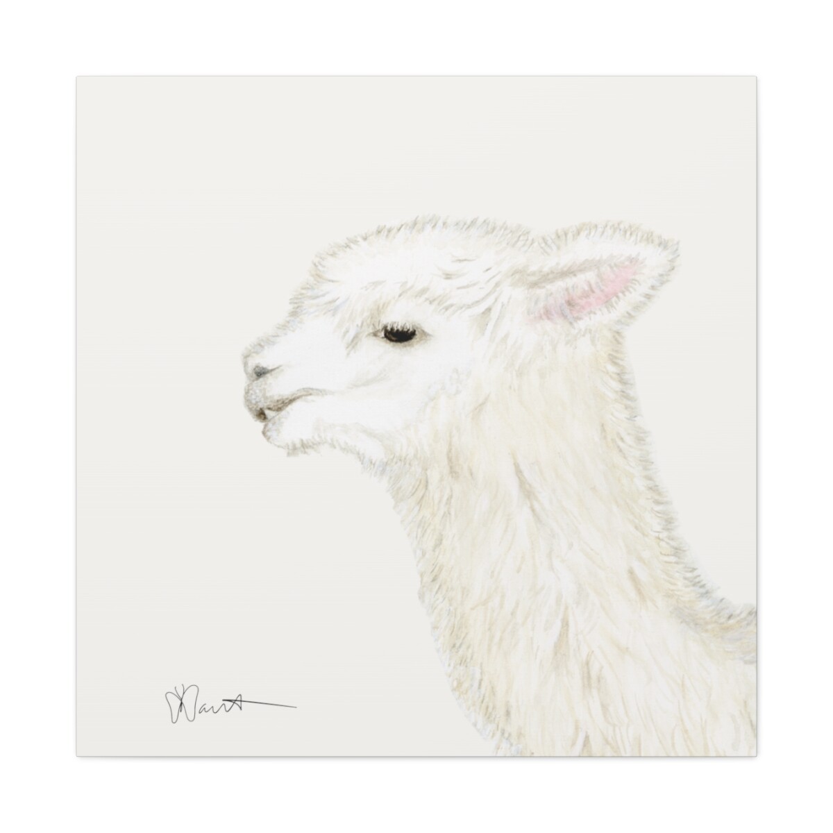Tina the Alpaca - Canvas Gallery Wrap - Image 2