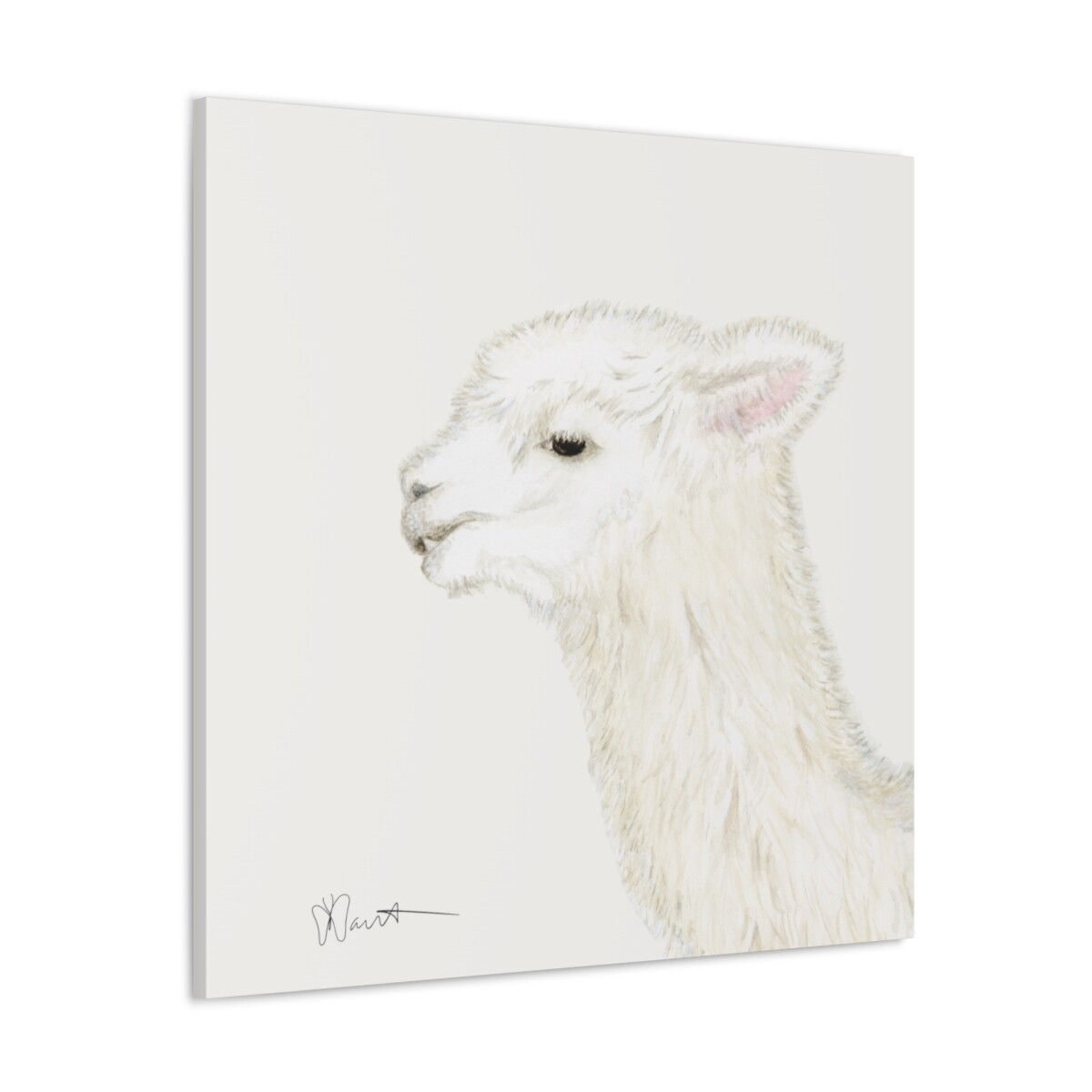 Tina the Alpaca - Canvas Gallery Wrap