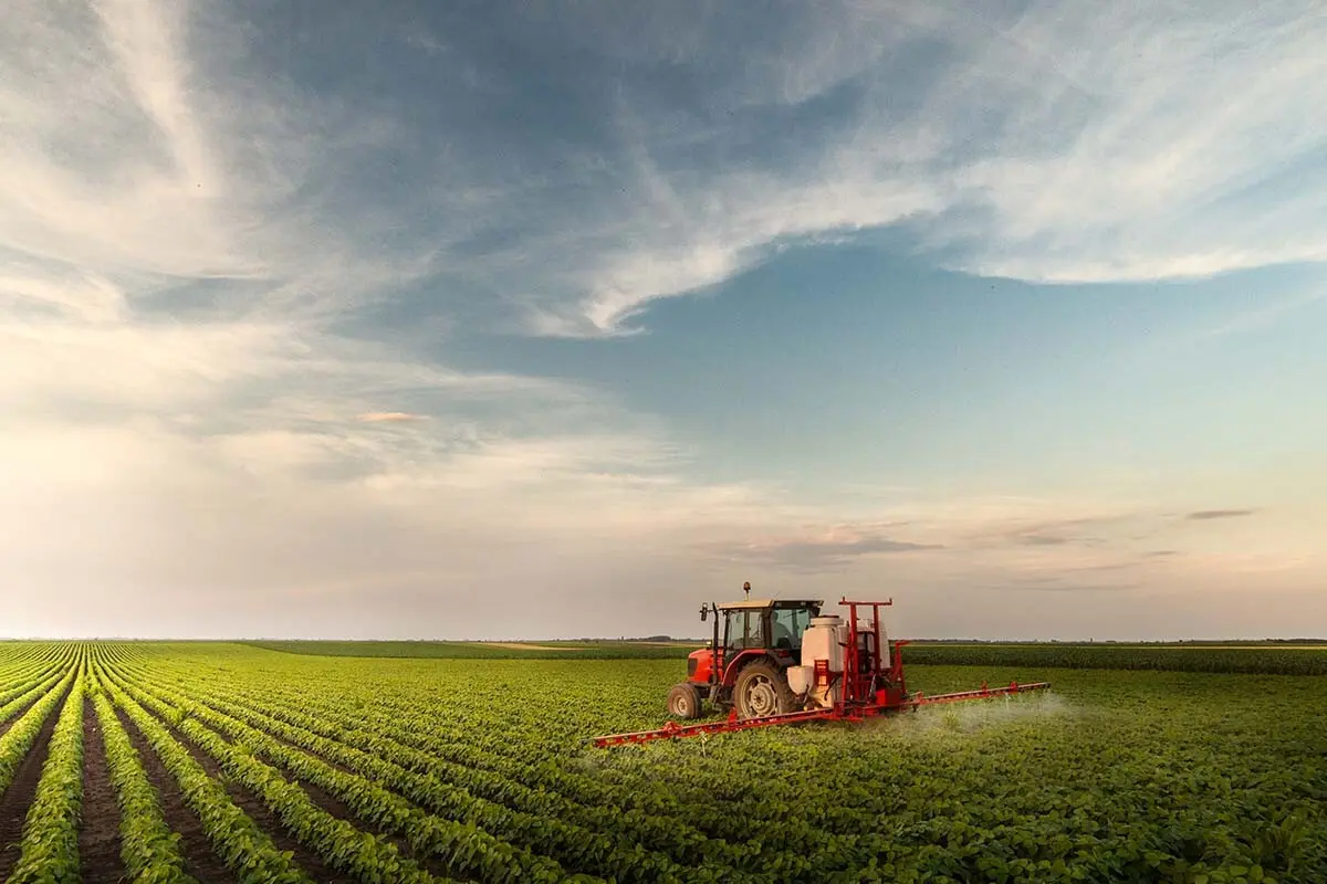 Industrial Farm Industrial Farm