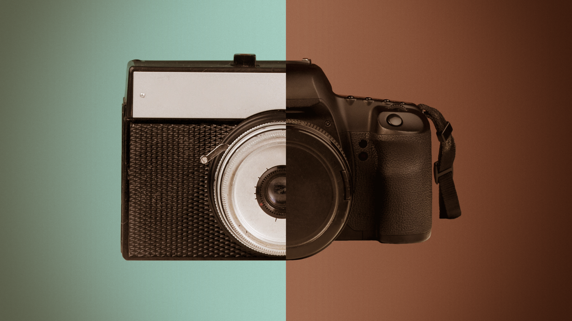 Analog vs Digital Camera