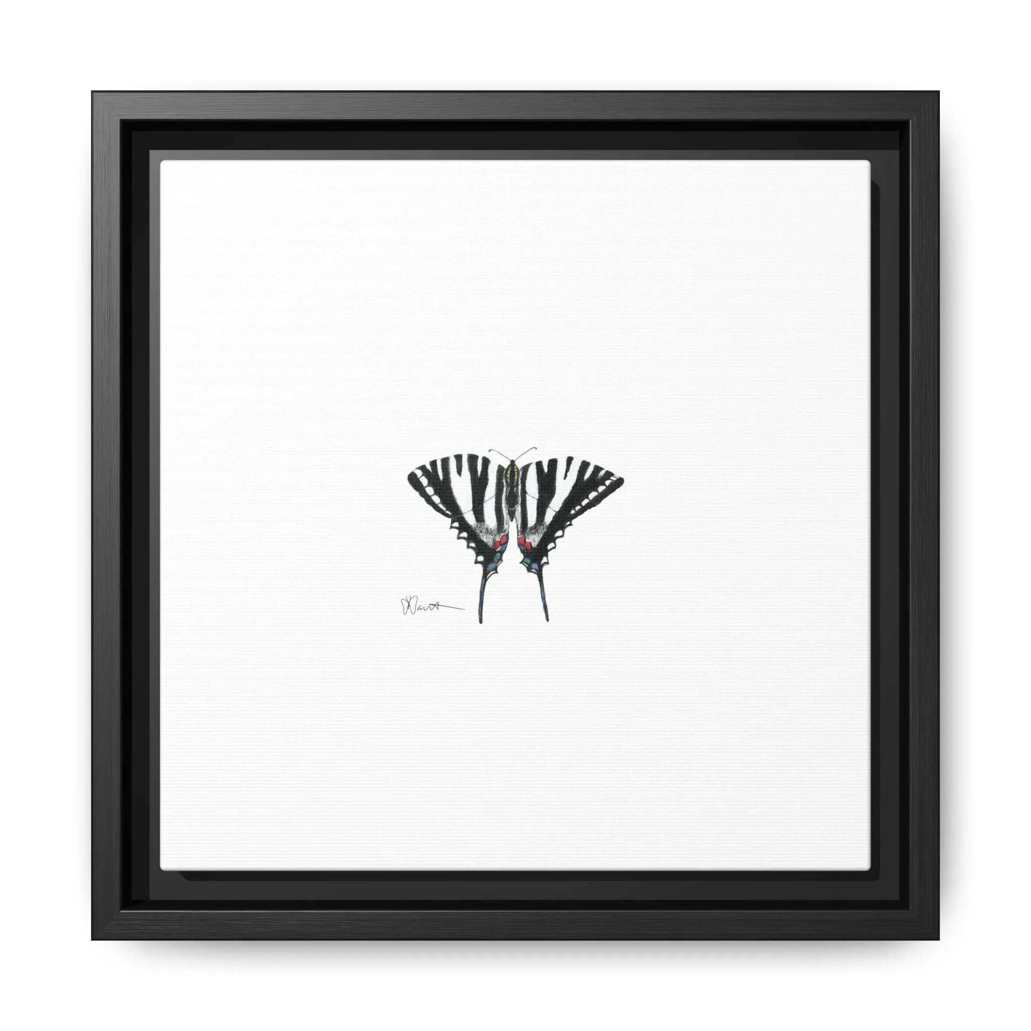 Zebra Swallowtail - Gallery Canvas Wraps with Floater Frame - Image 2